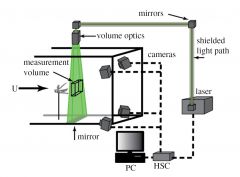 Experimental wind tunnel setup showing the position of tethered locusts, camera position and orientation, beam delivery and the illumination volume